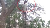 সিলেটের মিরাপাড়ায় গাছে ঝুলছিল যুবকের নিথর দেহ