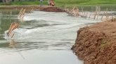 বাঁধ ভেঙে পানি ঢুকছে টাঙ্গুয়ার হাওরে